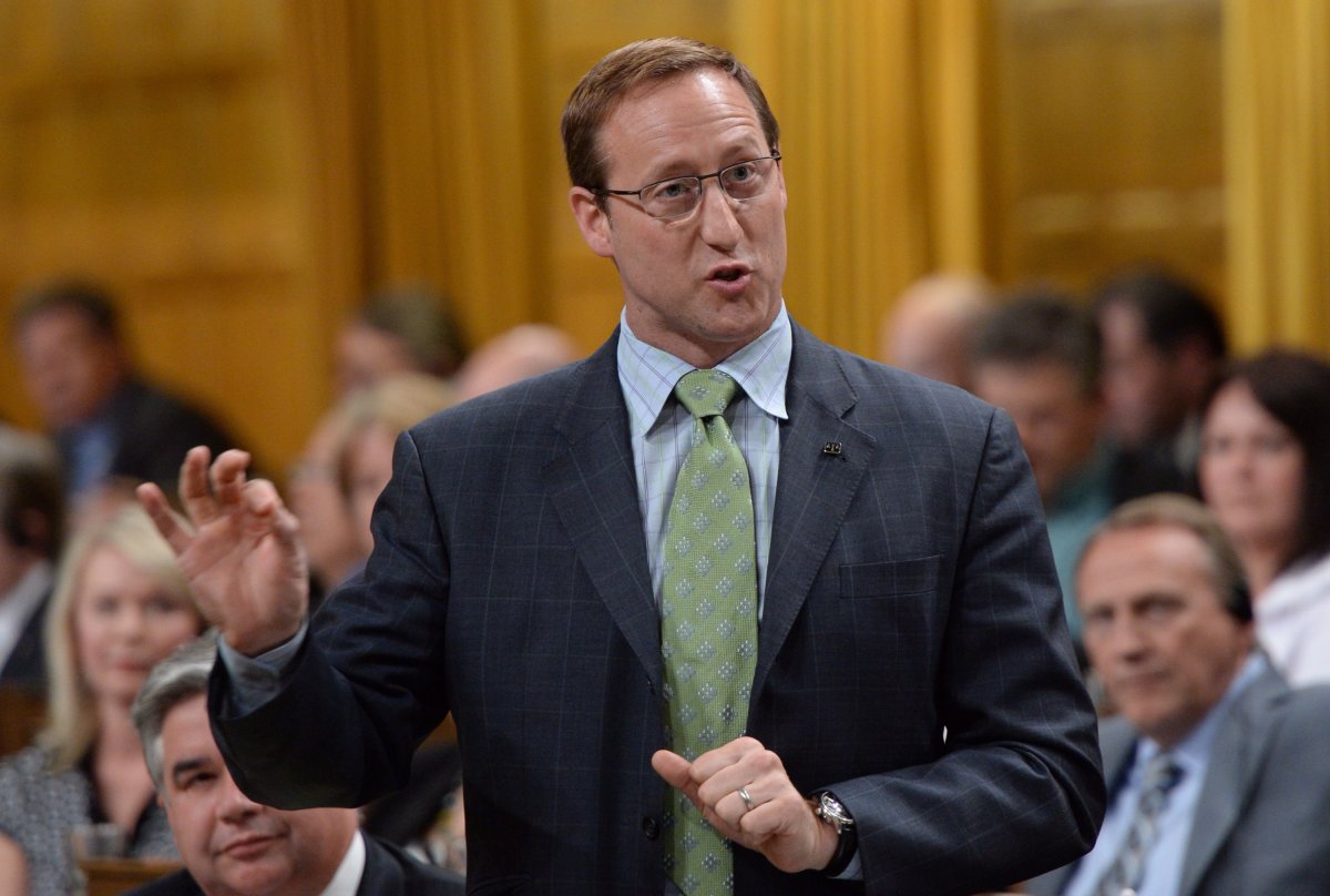 Minister of Justice Peter MacKay stands during question period in the House of Commons on Parliament Hill in Ottawa on Monday, June 16, 2014. THE CANADIAN PRESS/Sean Kilpatrick.
