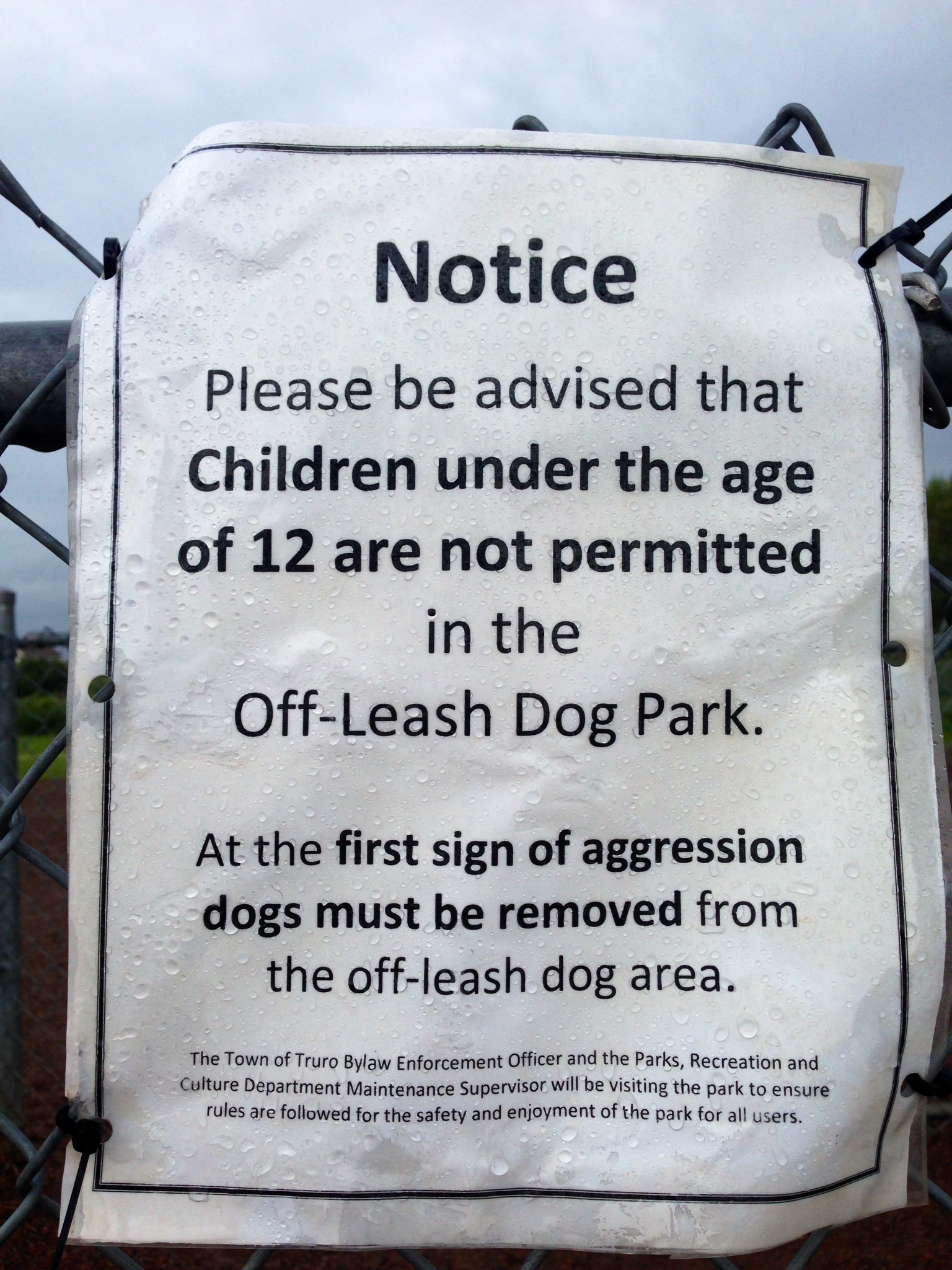 are children allowed in dog parks