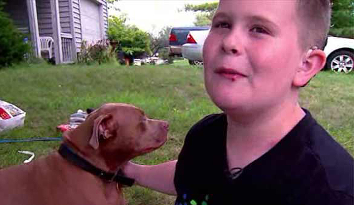 A pit bull in Indianapolis is being hailed a hero after saving a boy from a house fire that destroyed his family's home.