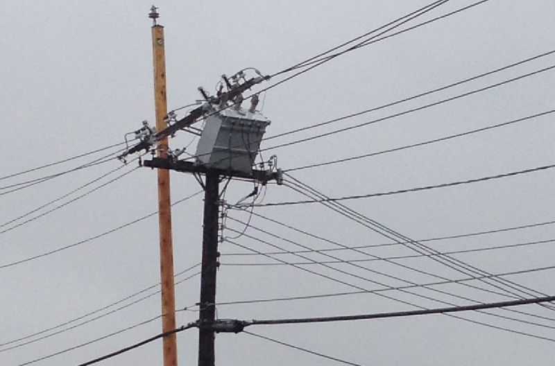 Downed power lines following a storm in Edmonton; July 25, 2014.