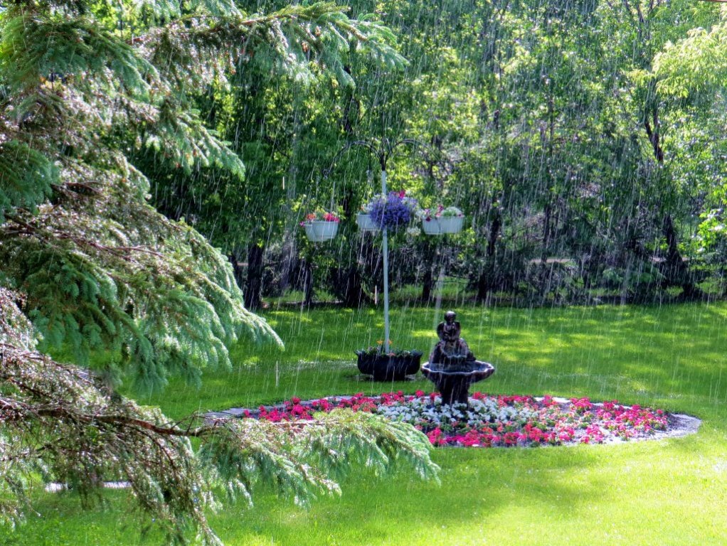 June rainfall in Winnipeg - image