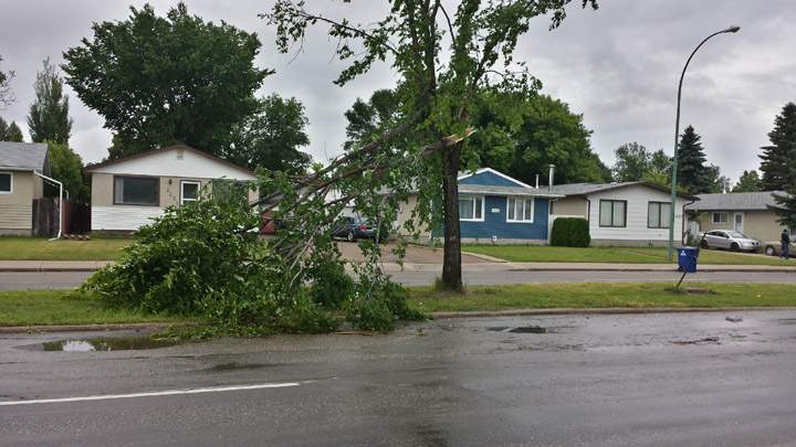 3600-block Diefenbaker Drive in Saskatoon