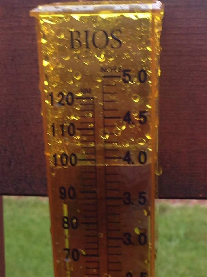 Rain gauge in Luseland