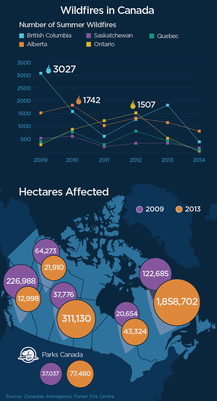 INFOGRAPHIC: How do this summer’s wildfires compare to previous years ...