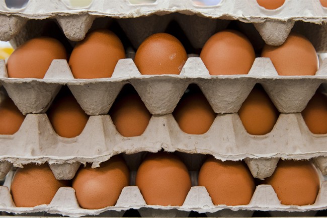 Food maker General Mills announced a major move toward cage-free eggs Tuesday as part of an updated animal welfare policy that now extends throughout its global supply chain.