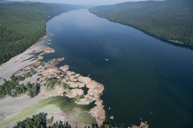 Contents from a tailings pond is pictured going down the Hazeltine Creek into Quesnel Lake near the town of Likely, B.C. Tuesday, August, 5, 2014. THE CANADIAN PRESS/Jonathan Hayward.