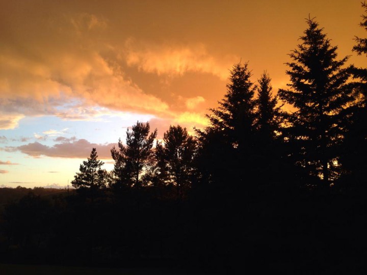 Aug. 4: This Your Saskatchewan photo was taken by Susan Fortay in Lloydminster.