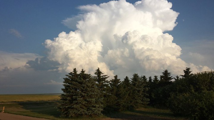 Aug. 9: This Your Saskatchewan photo was taken by Roxanne Levis near Rosetown.