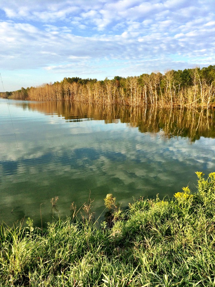 Aug. 12: This Your Saskatchewan photo was taken by Hosneara Khanam at Shannon Lake.