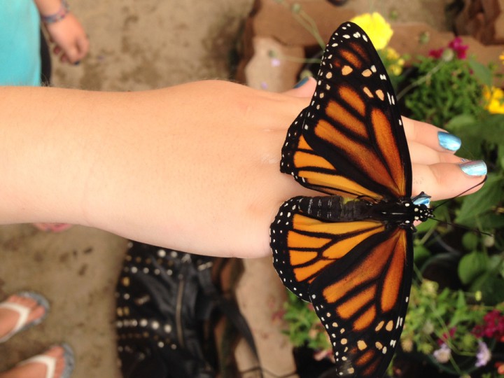 Aug. 15: This Your Saskatchewan photo was taken by Leah Kosh at the Saskatoon Zoo.