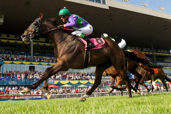 Jockey Luis Contreras guides Ami's Holiday (8) to victory in the 124th running of the Breeders' Stakes at Woodbine Racetrack in Toronto on Sunday, August 17, 2014.