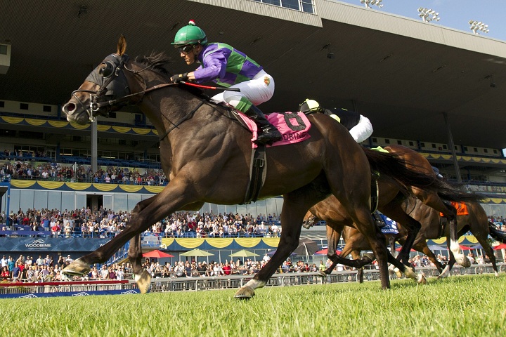 Jockey Luis Contreras guides Ami's Holiday (8) to victory in the 124th running of the Breeders' Stakes at Woodbine Racetrack in Toronto on Sunday, August 17, 2014.