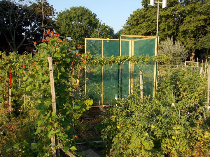 The beehive in Jardin Rencontres in NDG.