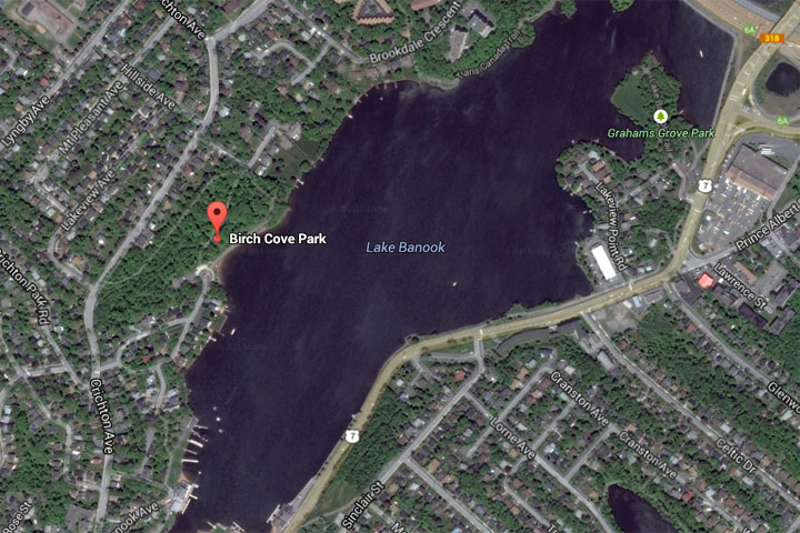 Birch Cove beach in Dartmouth closed to swimming - image