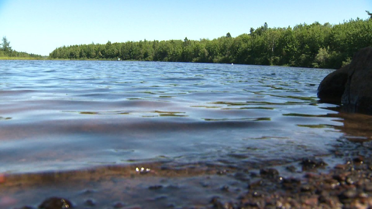 Blue-green algae has been spotted in Moncton's Irishtown Nature Park. 