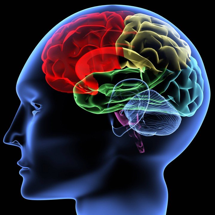 Can we use neuroscience and AI to predict hit songs? Maybe. - National - Vimarsana News