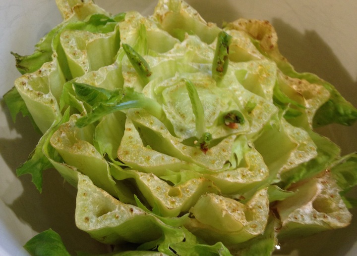 Along with green onions and lettuce, celery is an easy vegetable to regrow.