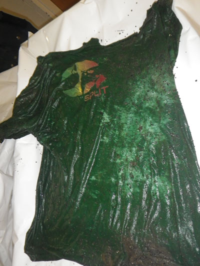 Help needed to identify man’s remains found near Campbell River - image