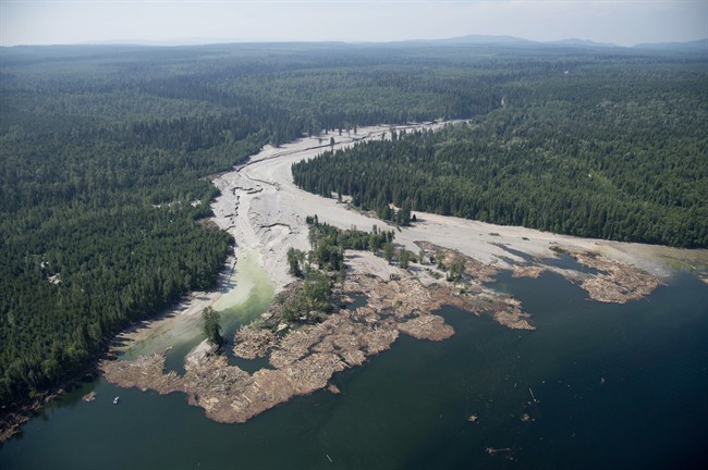 Contents from a tailings pond is pictured going down the Hazeltine Creek into Quesnel Lake near the town of Likely, B.C. on August, 5, 2014. THE CANADIAN PRESS/Jonathan Hayward.