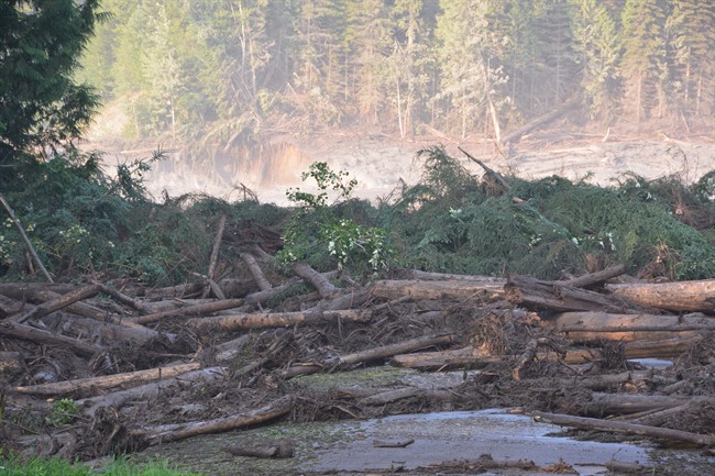 FILE PHOTO: The tailings pond of the Mount Polley mine, southeast of Quesnel, was breached, discharging waste water into Hazeltine Creek on Aug. 4, 2014. 
