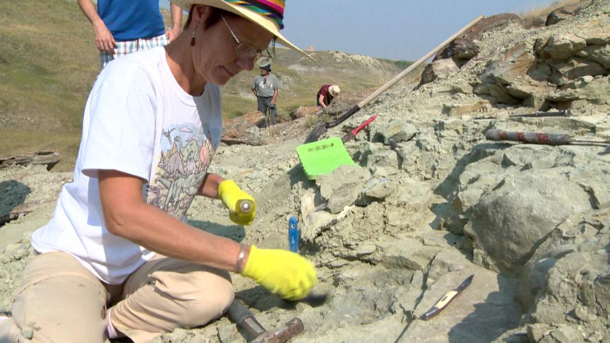 Researchers crack mystery of dinosaur eggs missing from fossil record - image