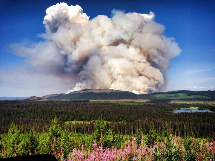 Fire crews battle large wildfire southeast of Houston Globalnews.ca