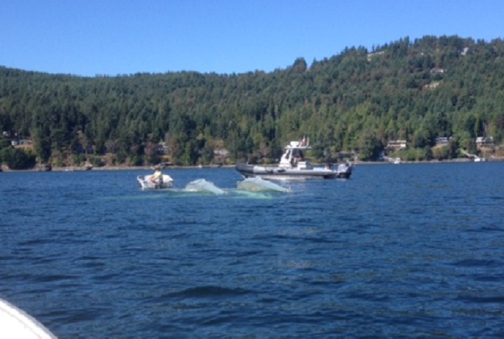 A float plane crashed off the coast of Vancouver Island on August 26, 2014.
