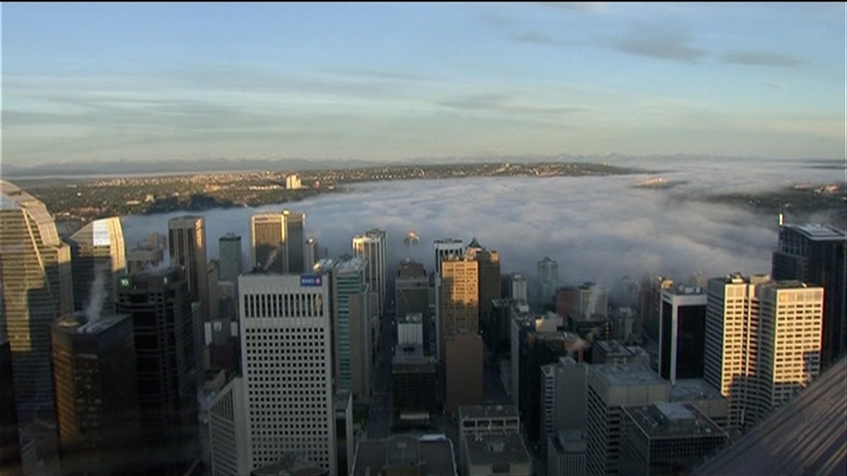 Gallery Stunning Photos Of A Foggy Morning In Calgary Globalnewsca