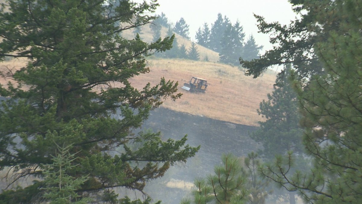 Fire crews make good progress on agressive South Okanagan grass fire - image