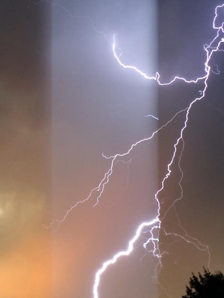 Lightning causes small forest fire in north Okanagan - image