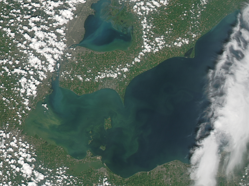 Lake Erie's algae bloom, seen from a satellite photo Aug. 3, 2014.