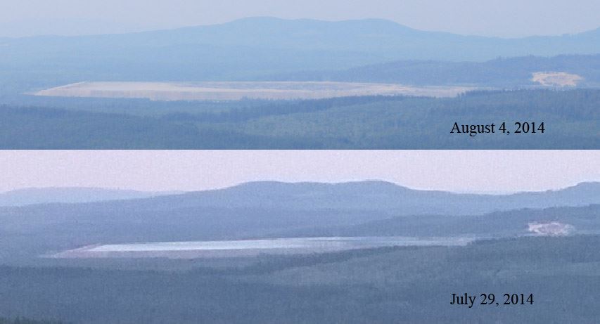 Before and after, credit Elaine Lucas.