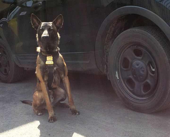 Newly trained Saskatoon police dog Matrix is already fighting crime in the city.