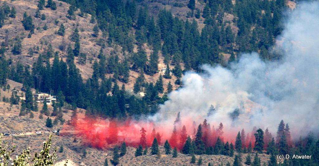 UPDATE Naramata fire contained Globalnews.ca