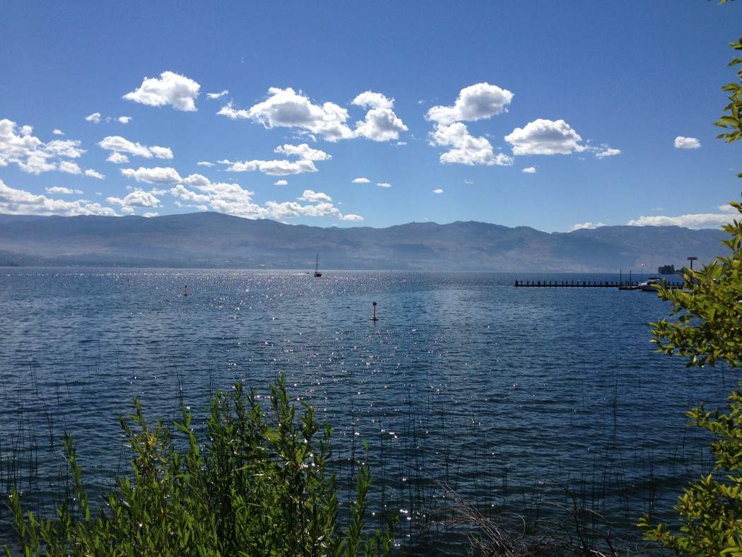 Vernon man hit by boat propeller seriously injured - image