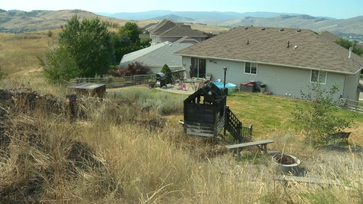 Playhouse burnt in suspicious fire early Monday morning. 