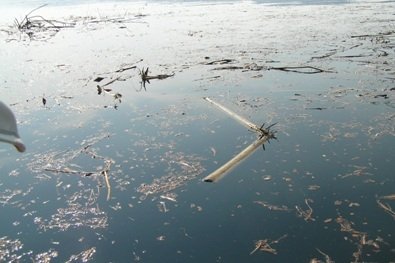 Where Hazeltine Creek enters Quesnel Lake.