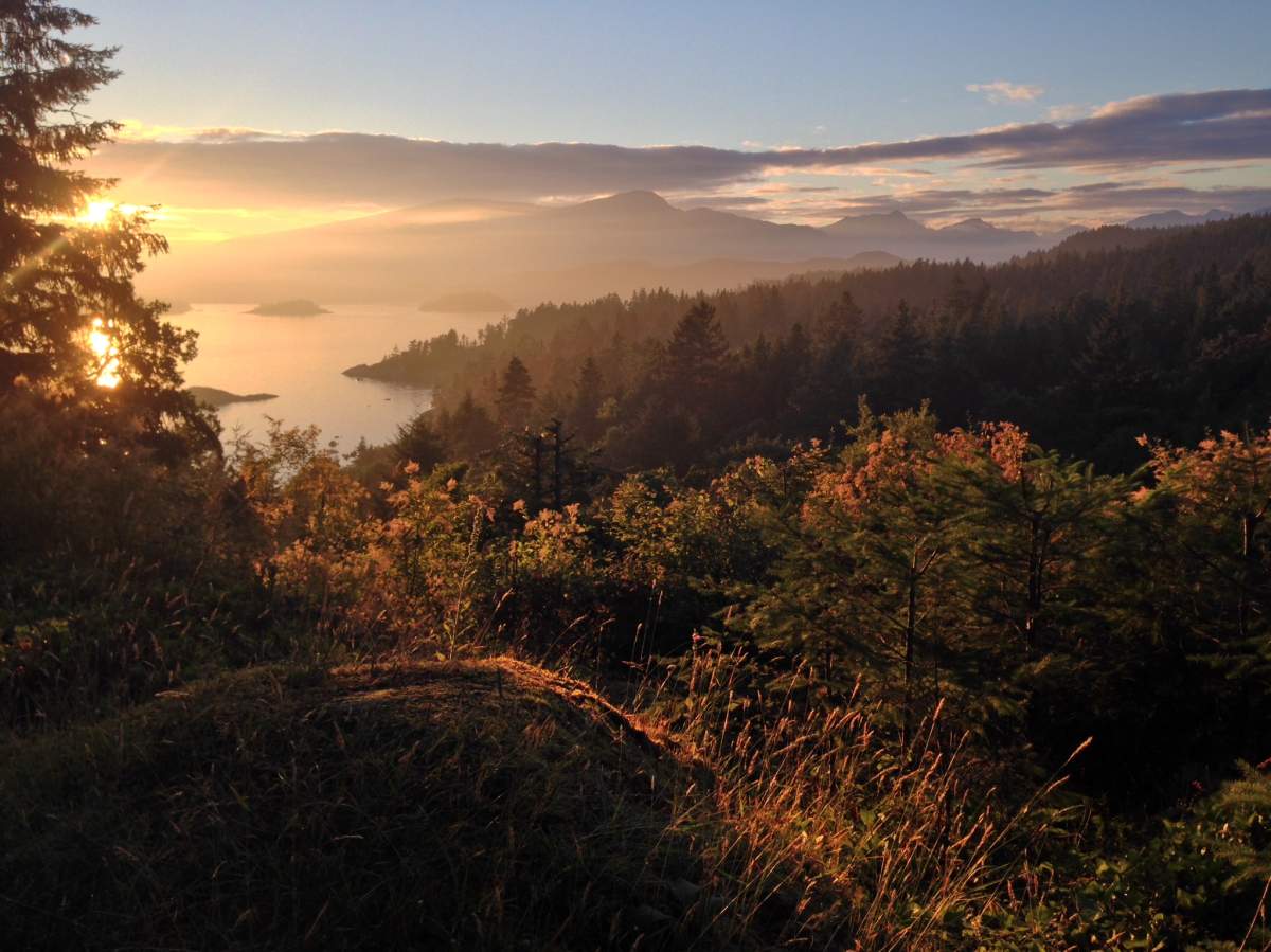 Rafal Izdebski – Bowen Island