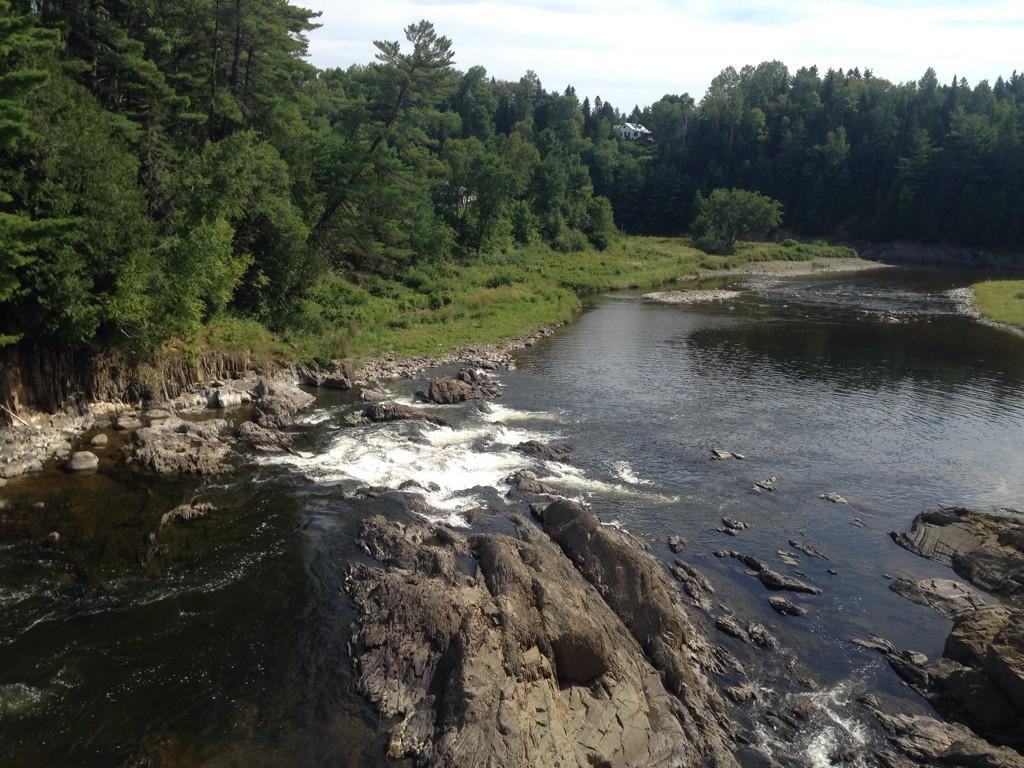 There is only 1 per cent of the original Appalachian Hardwood Forest remaining in New Brunswick  – half of which is located in the Meduxnekeag Watershed.