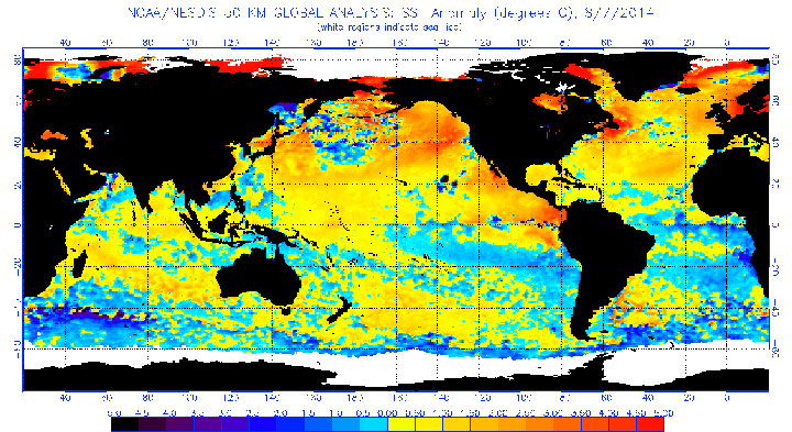 The sea surface temperatures across the Pacific - where El Nino develops - has been near normal for the month of July, prompting meteorologists to reduce their forecast for an El Nino event this year.