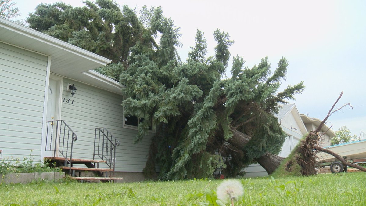 The head of SaskPower says a handful of customers remain without electricity in rural areas after a powerful storm blew through southern Saskatchewan.