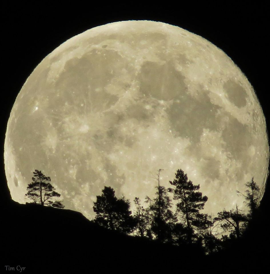 This is an example of how our brains are fooled into thinking the moon is enormous when it lies on the horizon.