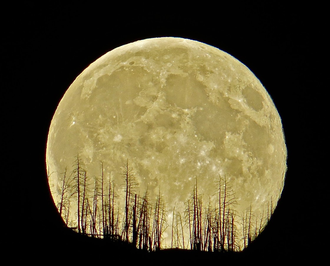 June 20 is not only the date of the full moon, but of summer solstice.