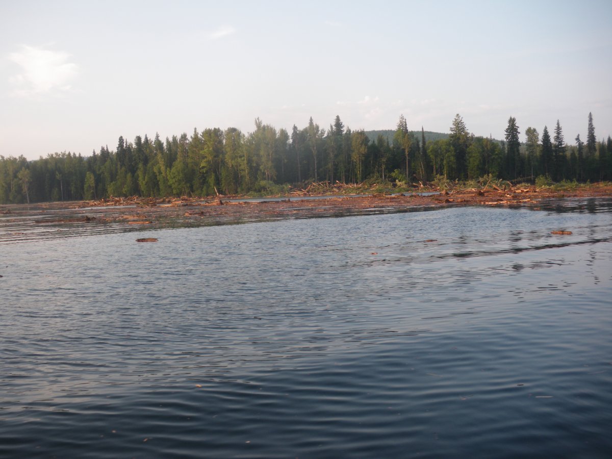 Polley Lake after the tailings breach. Photo by Larry Chambers.
