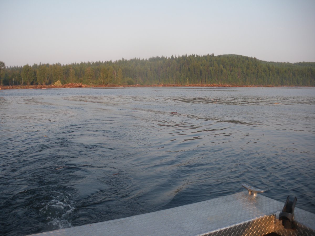 Polley Lake after the tailings breach. Photo by Larry Chambers.