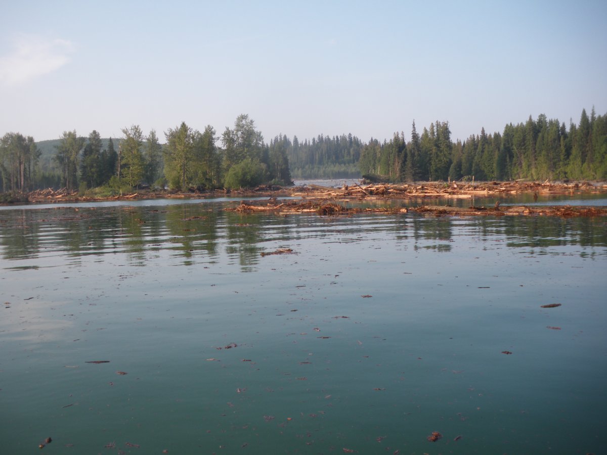 Polley Lake after the tailings breach. Photo by Larry Chambers.