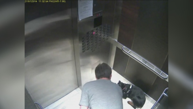 A screen grab from the surveillance video showing alleged animal abuse by Centerplate CEO Des Hague.