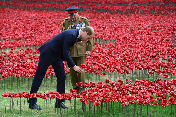 Britain’s Prince William, Duke of Cambridge (L) ‘plants’ a ceramic poppy as General Lord Dannatt, Constable of the Tower of London, looks on during a visit to the Tower of London’s ‘Blood Swept Lands and Seas of Red’ poppy installation, in central London, on August 5, 2014.