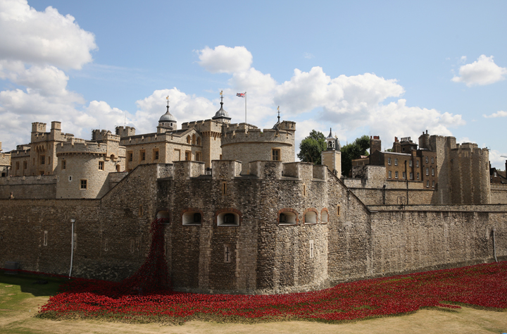 Volunteers continue to assemble an installation entitled 'Blood Swept Lands and Seas of Red' by artist Paul Cummins, made up of 888,246 ceramic poppies, is seen in the moat of the Tower of London to commemorate the First World War on August 3, 2014 in London, England.