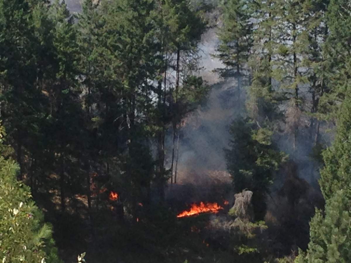 Evacuation order for one home near Drought Hill fire now an alert - image
